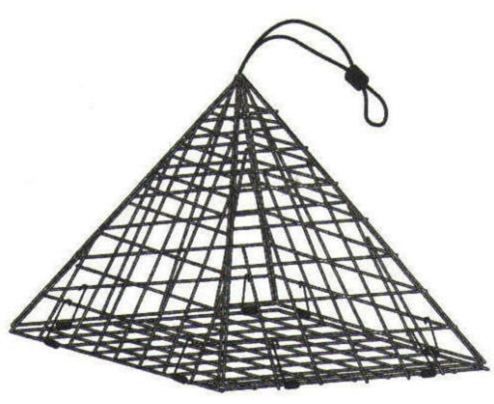 FJ NEIL Stone Crab Traps Gulf Stream Distribution