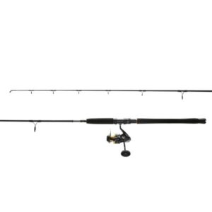 SHIMANO Spheros SW Spinning Combo